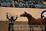 09yn-14645 thumbnail