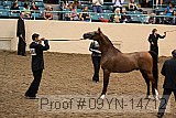 09yn-14712 thumbnail