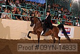 09yn-14833 thumbnail