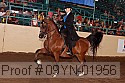 09yn-01956 thumbnail