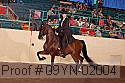 09yn-02004 thumbnail