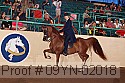 09yn-02018 thumbnail