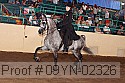 09yn-02326 thumbnail