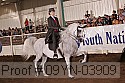 09yn-03909 thumbnail