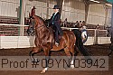 09yn-03942 thumbnail