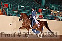 09yn-02551 thumbnail