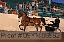 09yn-06962 thumbnail