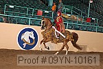 09yn-10161 thumbnail