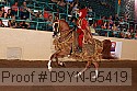 09yn-05419 thumbnail