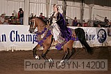 09yn-14200 thumbnail