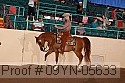 09yn-05633 thumbnail
