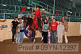 09yn-12397 thumbnail
