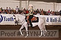 09yn-00927 thumbnail