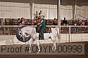 09yn-00998 thumbnail