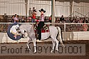 09yn-01001 thumbnail