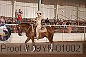 09yn-01002 thumbnail