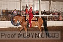 09yn-01003 thumbnail