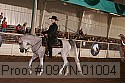 09yn-01004 thumbnail