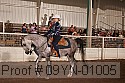 09yn-01005 thumbnail