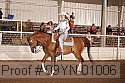 09yn-01006 thumbnail