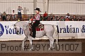 09yn-01007 thumbnail