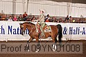 09yn-01008 thumbnail
