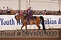 09yn-01009 thumbnail