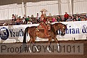09yn-01011 thumbnail