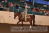 09yn-08207 thumbnail