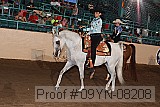 09yn-08208 thumbnail