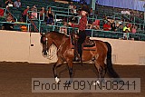 09yn-08211 thumbnail