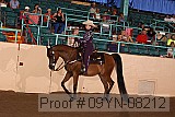 09yn-08212 thumbnail