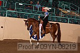 09yn-08219 thumbnail