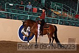 09yn-08223 thumbnail