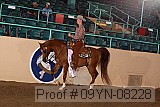 09yn-08228 thumbnail