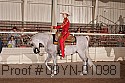 09yn-01098 thumbnail