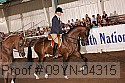 09yn-04315 thumbnail