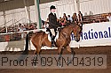 09yn-04319 thumbnail