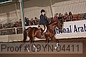 09yn-04411 thumbnail