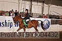 09yn-04432 thumbnail