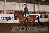 09yn-12573 thumbnail