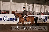 09yn-12576 thumbnail