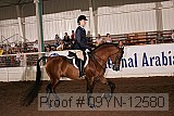 09yn-12580 thumbnail