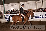 09yn-12581 thumbnail