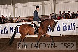 09yn-12582 thumbnail