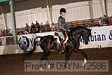 09yn-12586 thumbnail