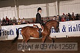 09yn-12587 thumbnail