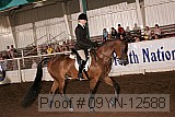 09yn-12588 thumbnail