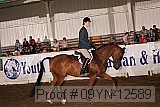 09yn-12589 thumbnail