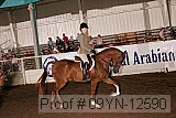 09yn-12590 thumbnail
